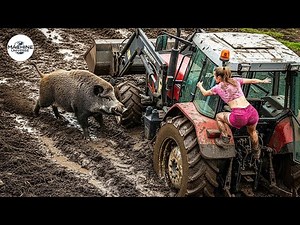 Unbelievable Tractor Stuck in Mud Moments | Extreme Heavy Equipment fails #31