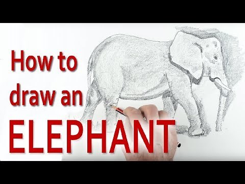 Shockingly Simple Technique to Draw an Elephant in Simple Easy Steps