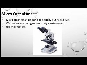 What are Micro-organisms | Grade 6 Science