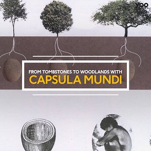 From one source of life sprouts another - the perfect cycle of life. Check below for more details! | YOO