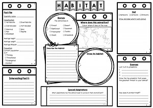 Term 2: Informative Writing