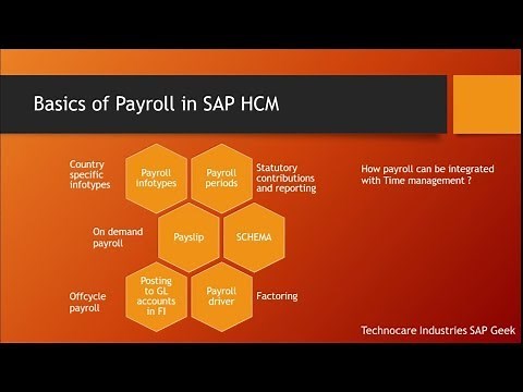 Introduction to payroll