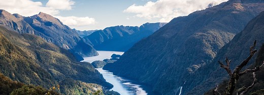 Who really discovered New Zealand? | BBC Earth