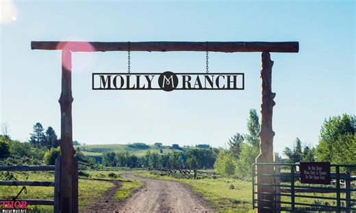 Metal Ranch Entrance Signs, Custom Farm Signs, Ranch Gate Signs, Personalized Metal Farm Sign, Large Metal Farm Signs, Farm Sign With Name, - Etsy