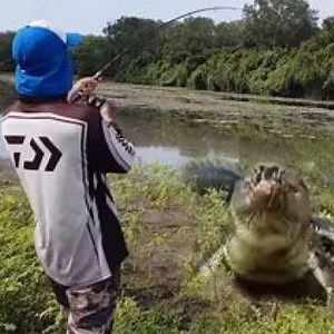 16K views · 373 reactions | Fishing meets crocodile and Ending | Wild Animals TV | Facebook