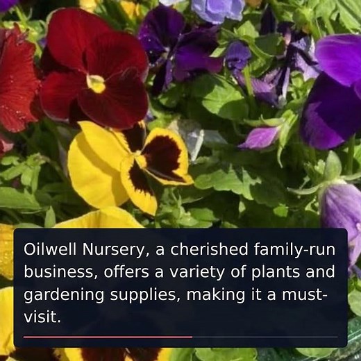 Explore the Best Local Garden Centres This Spring!