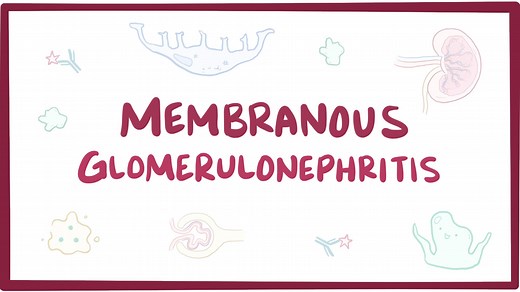 Membranous nephropathy: Video, Causes, & Meaning | Osmosis
