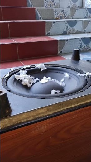 Subwoofer Showdown Testing the Deepest Bass of a 12-inch Bose Speaker (Room Shaker!) #nghia #dj