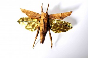 Flying Locust - Designed and Folded by me