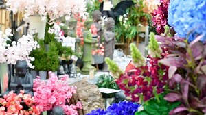 Get To Know The Garden Centre! Take a look at our gorgeous garden centre as we wander through with our camera! See our perfect plant area, flourishing in the spring season, or take a look at our outdoor essentials with fantastic furniture and brilliant barbecues! Can't get enough? Come and see it for yourself! We're open 7 days a week come rain or shine! See you soon! | Summerhill Garden Centre