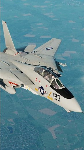 A new Tomcat on the block! | DCS F-14A Early Overview #tomcat #dcsworld #militarysimulation