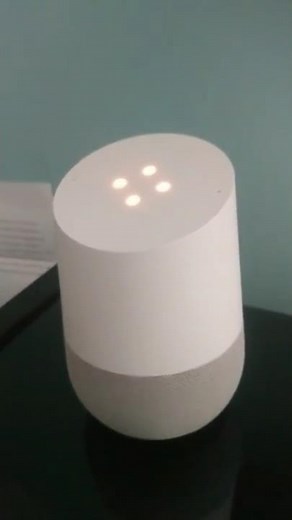 How to mute/unmute Google home without pressing the button