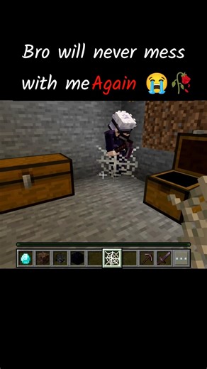 Bro will never mess with me again.....#minecraft #shorts #gaming