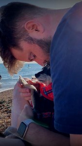 2M views · 45K reactions | This guy didn’t want to adopt small dogs — now he takes them everywhere goes  | The Dodo | Facebook