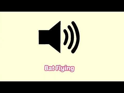 Bat Flying Sound Effect (Animal)