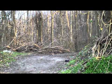 7.62x54r API (armor piercing incendiary)