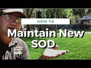 How To Maintain New SOD