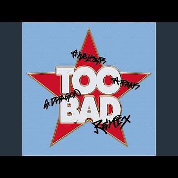 TOO BAD – Alan Walker Remix