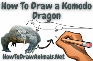 How To Draw a Komodo Dragon - EASY Drawing Tutorial!