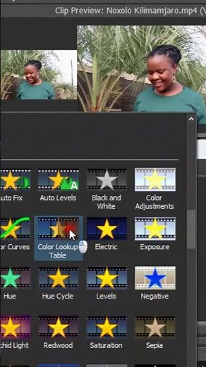 Adding A LUT VideoPad ! #VideoPad #musicvideo #edits