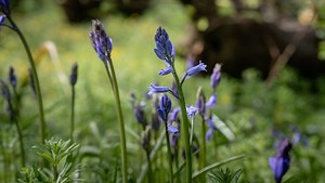 A Step-by-Step Guide to Color Correction in Lightroom