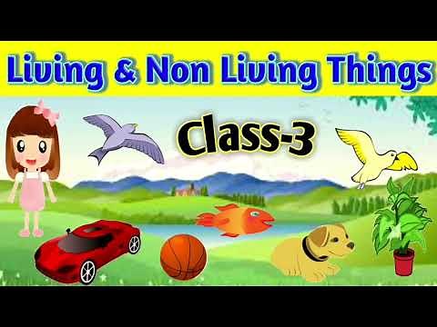 Living and Non Living Things || Class-3 || Science || CBSE