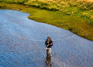 Making the Switch Part 2: Switch or Spey - Flylords Mag