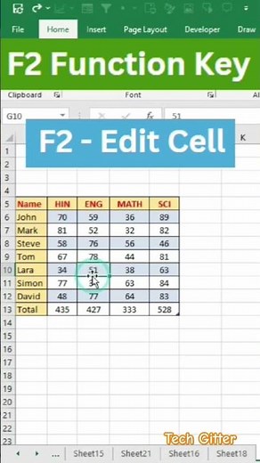 F2 Function Key in Excel