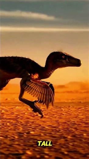 The Real Velociraptor vs Jurassic Park Raptor