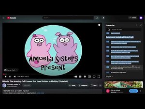 How to View a YouTube Transcript