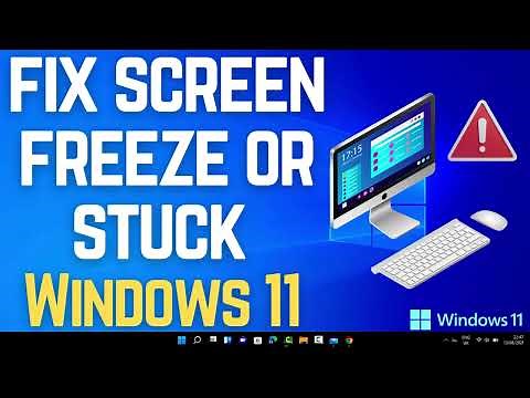 How to Fix Screen Freeze in Windows 11