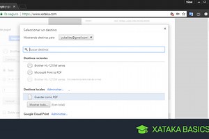 Cómo guardar una web o documento en PDF con Windows para imprimirla después