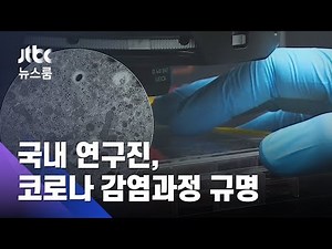 6시간 만에 폐 세포 파괴…'코로나 감염과정' 첫 규명 / JTBC 뉴스룸