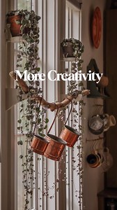 249K views · 49K reactions | Let’s not be fooled into thinking we...