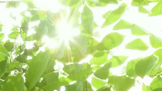 Managing Moisture: 7 Key Facts About Summer Humidity in Your Home