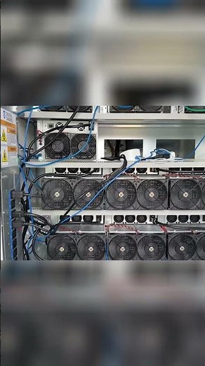 Bitcoin Mining Farm Tour: Old vs. New Miners Revealed! #shorts
