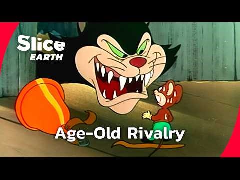 Cat vs Mouse: A First Encounter with a Predator | Part 1 | SLICE EARTH