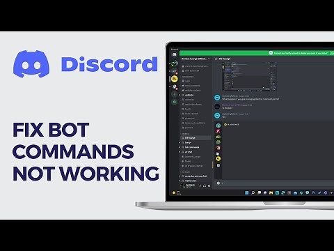 How To Fix Discord Bot Commands Not Working - 2024