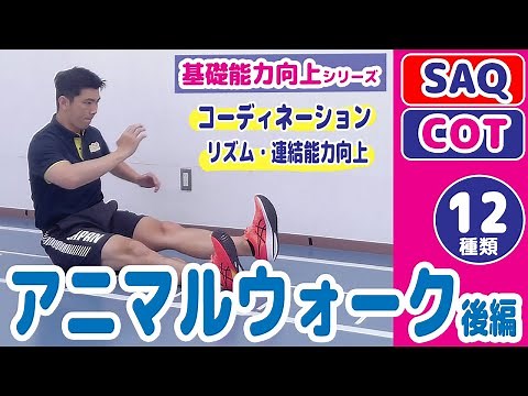 【アニマルウォーク（動物歩き）後編】運動神経UP／リズム・連結能力向上／運動の基礎能力を向上しよう！＼SAQ・コーディネーション運動／準備運動にも最適！幼児・小学生・中学生・高校生向け