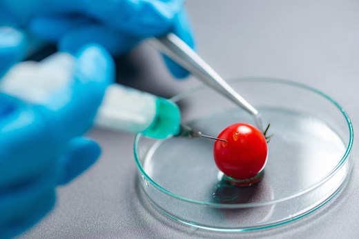 Organic Chemistry Is All Around Us