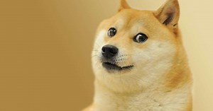 The 100 Greatest Memes Ever, Ranked