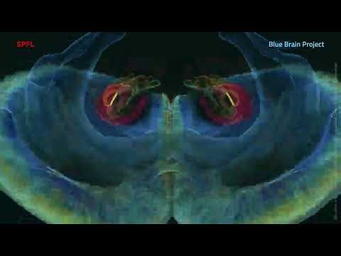 Blue Brain Project - Digitally Reconstructing and Simulating the Brain
