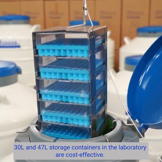 what is LN2 dewars and cryogenic storage tanks’ critical stress factor？#dewartank #frozensperm #lab
