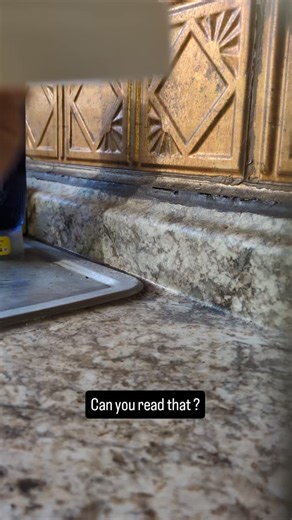 Zeke is Brooklyn Mushroom on Instagram: "Can you read that? Someone please help me."