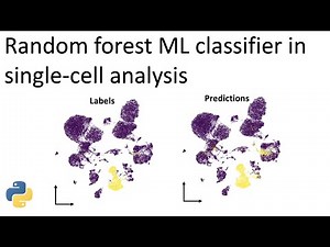 Applying random forest classifiers to single-cell RNAseq data