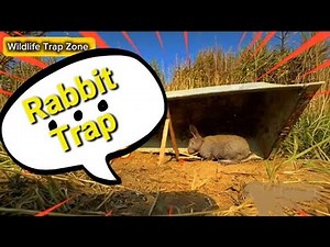 How to Make a Rabbit Trap |Easy DIY Humane Trap Tutorial | Best DIY |Easy Wildlife Trap Making #trap