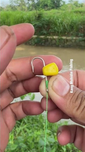 Tips memancing cara memasang umpan 👍👍 #fishing #angler #tutorial #fishingtips