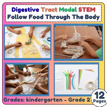 Digestive Tract Model STEM | Follow Food Through the Body For K - 2 Grade