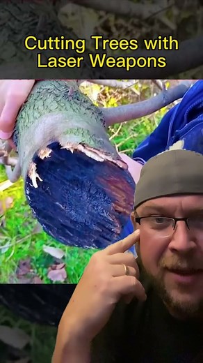 Cutting Trees With Lasers
