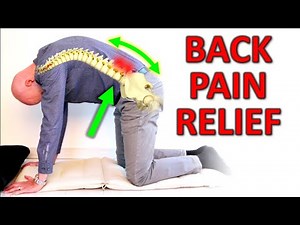 7 Great Exercises for Low Back Pain & Stiffness